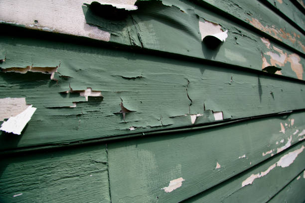 Best Construction Debris Removal  in Dardenne Prairie, MO